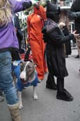 Mystic-Krewe-of-Barkus-2012-0403