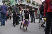 Mystic-Krewe-of-Barkus-2012-0410