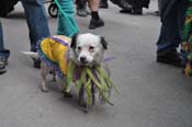 Mystic-Krewe-of-Barkus-2012-0412