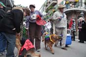 Mystic-Krewe-of-Barkus-2012-0415