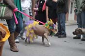 Mystic-Krewe-of-Barkus-2012-0416