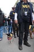 Mystic-Krewe-of-Barkus-2012-0425