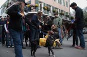 Mystic-Krewe-of-Barkus-2012-0427