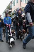 Mystic-Krewe-of-Barkus-2012-0429