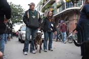 Mystic-Krewe-of-Barkus-2012-0433