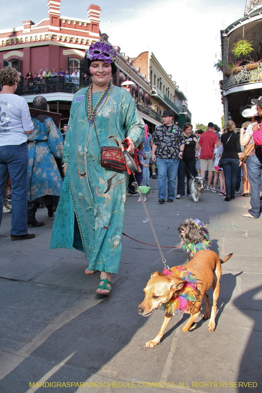 Mystic-Krewe-of-Barkus-2013-1153