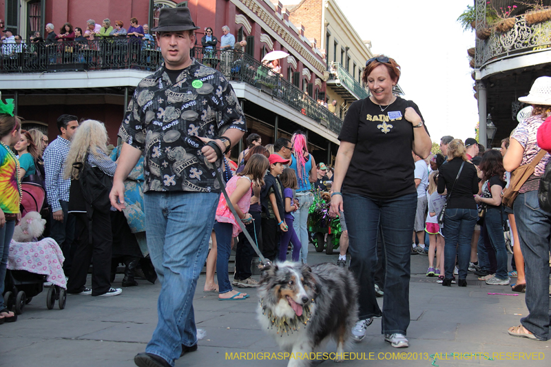 Mystic-Krewe-of-Barkus-2013-1155