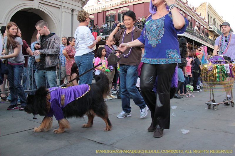 Mystic-Krewe-of-Barkus-2013-1162