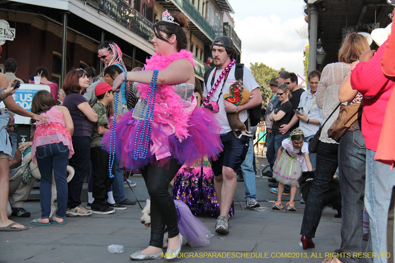 Mystic-Krewe-of-Barkus-2013-1169