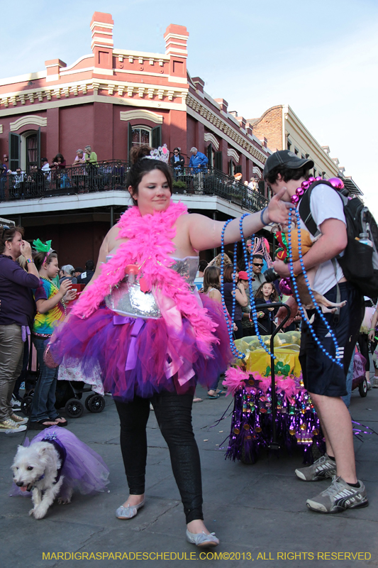 Mystic-Krewe-of-Barkus-2013-1170