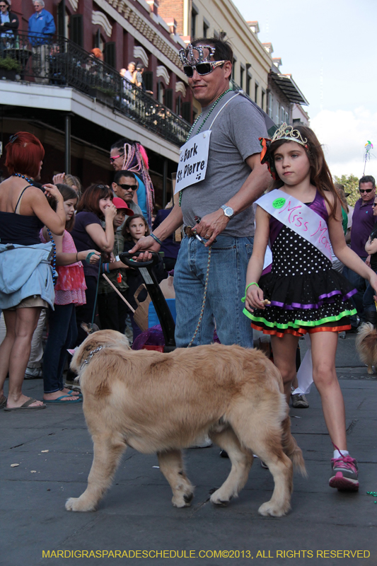 Mystic-Krewe-of-Barkus-2013-1171