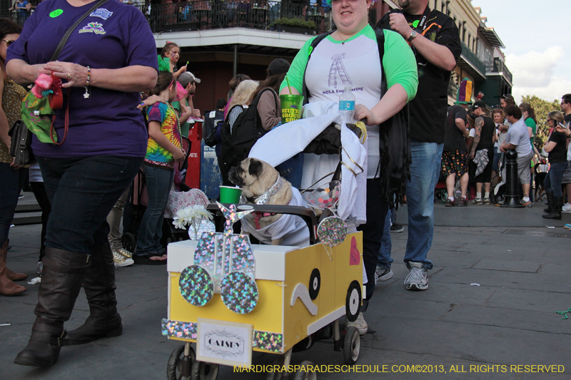 Mystic-Krewe-of-Barkus-2013-1185