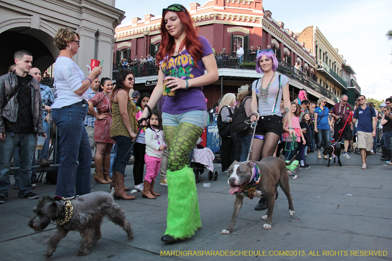 Mystic-Krewe-of-Barkus-2013-1187