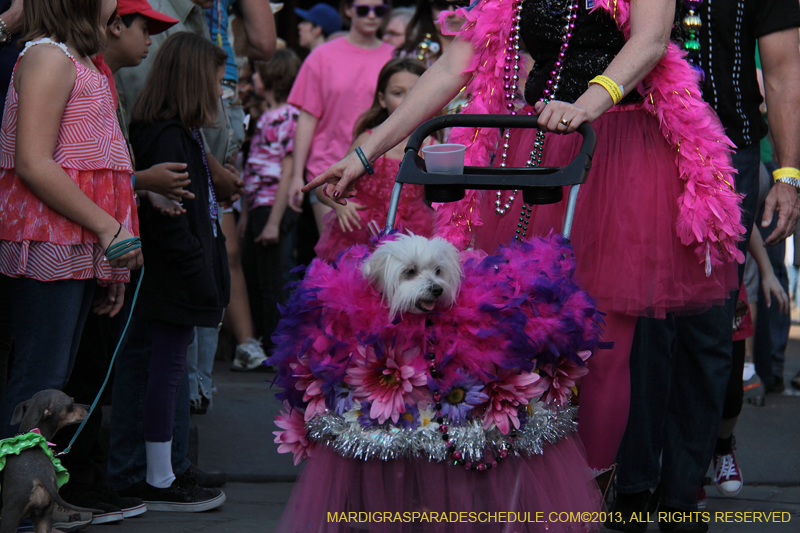 Mystic-Krewe-of-Barkus-2013-1189