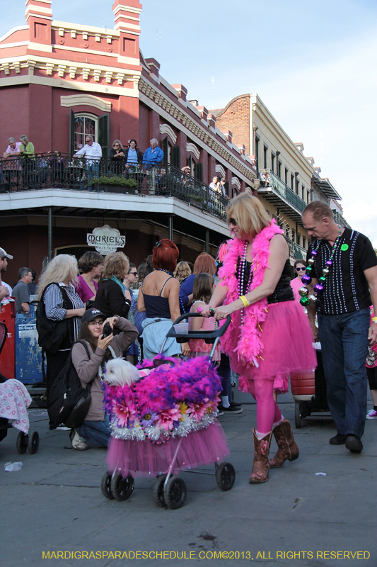 Mystic-Krewe-of-Barkus-2013-1190