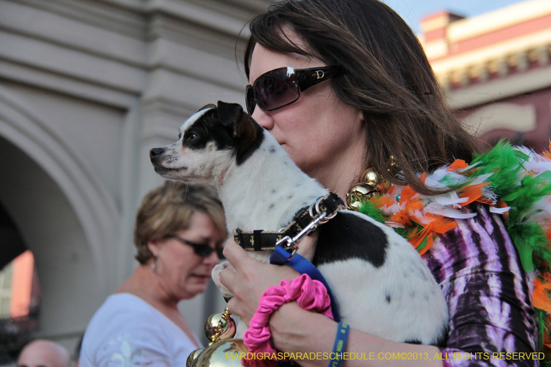 Mystic-Krewe-of-Barkus-2013-1193