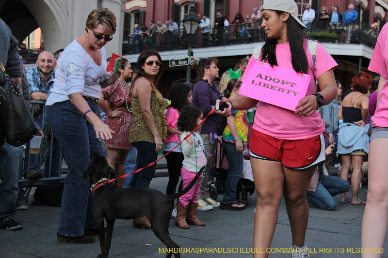 Mystic-Krewe-of-Barkus-2013-1194