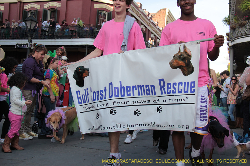 Mystic-Krewe-of-Barkus-2013-1195