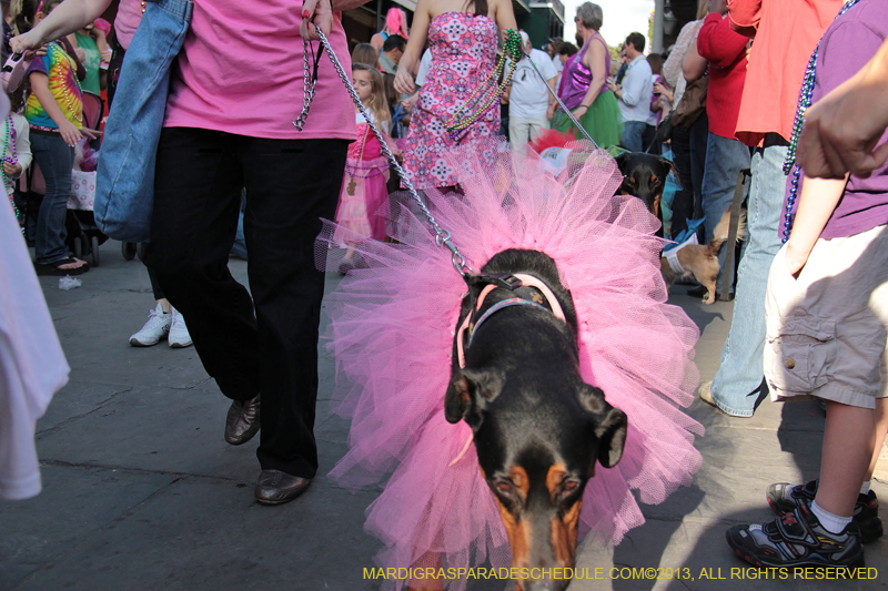 Mystic-Krewe-of-Barkus-2013-1196