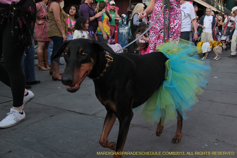 Mystic-Krewe-of-Barkus-2013-1197