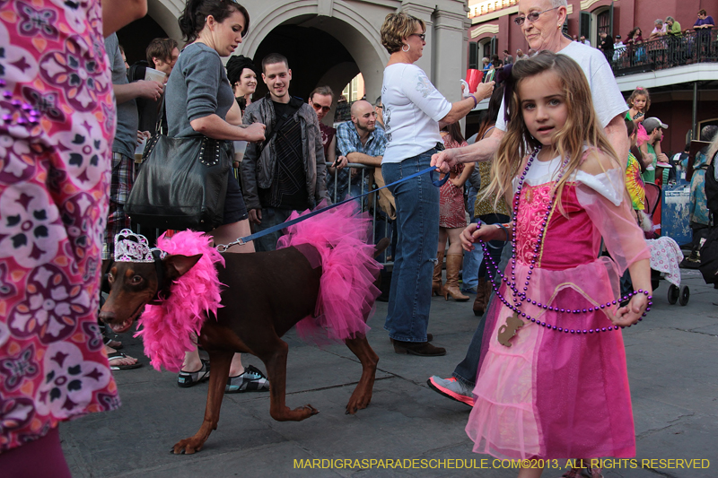 Mystic-Krewe-of-Barkus-2013-1198