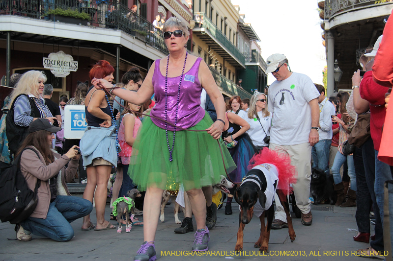 Mystic-Krewe-of-Barkus-2013-1199