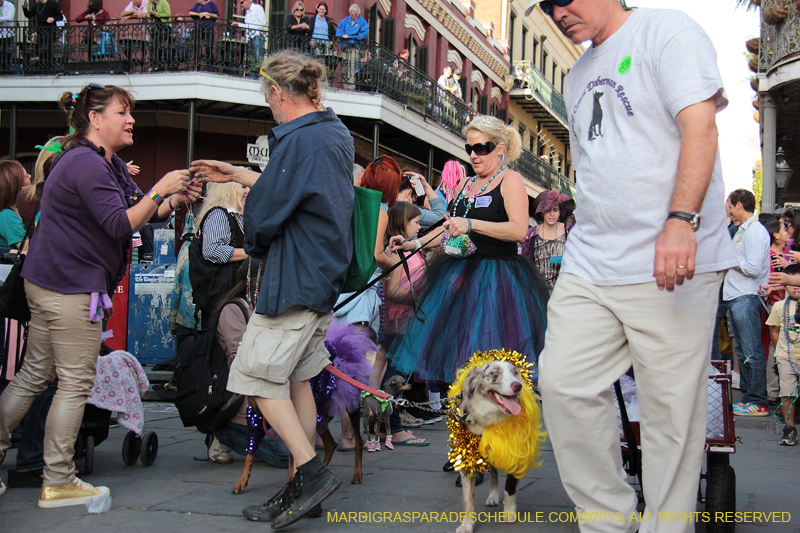 Mystic-Krewe-of-Barkus-2013-1200