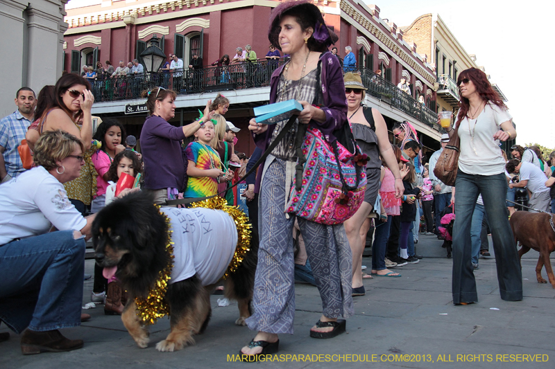 Mystic-Krewe-of-Barkus-2013-1203