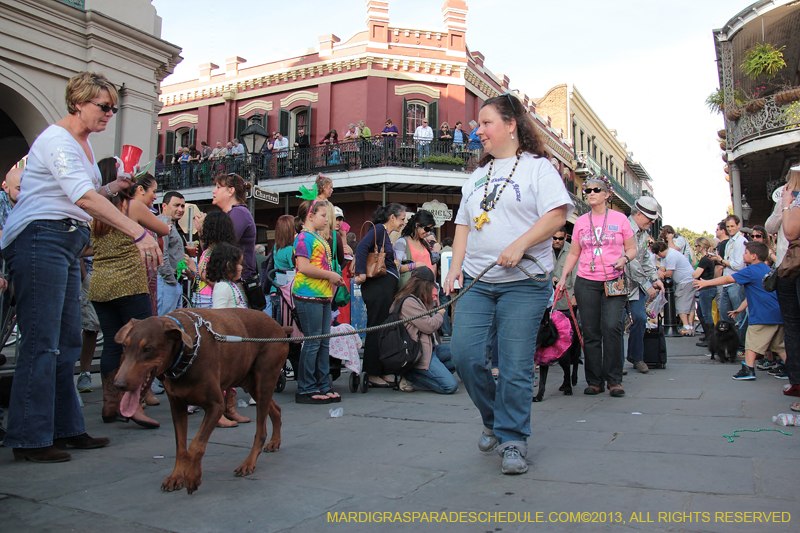 Mystic-Krewe-of-Barkus-2013-1204