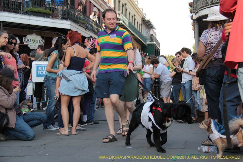 Mystic-Krewe-of-Barkus-2013-1207