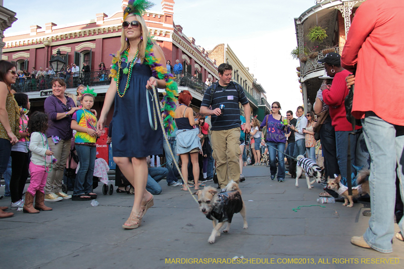 Mystic-Krewe-of-Barkus-2013-1208