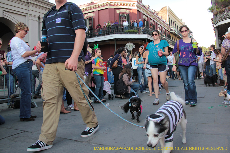 Mystic-Krewe-of-Barkus-2013-1209