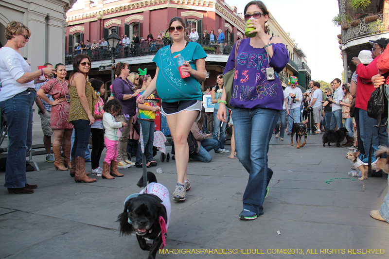 Mystic-Krewe-of-Barkus-2013-1210