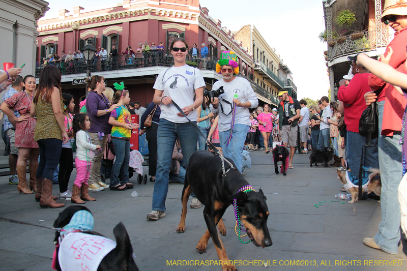 Mystic-Krewe-of-Barkus-2013-1211