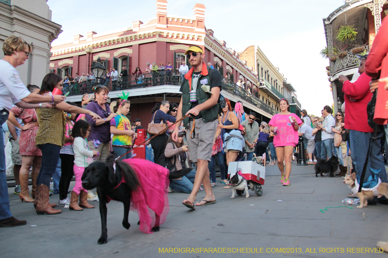 Mystic-Krewe-of-Barkus-2013-1212