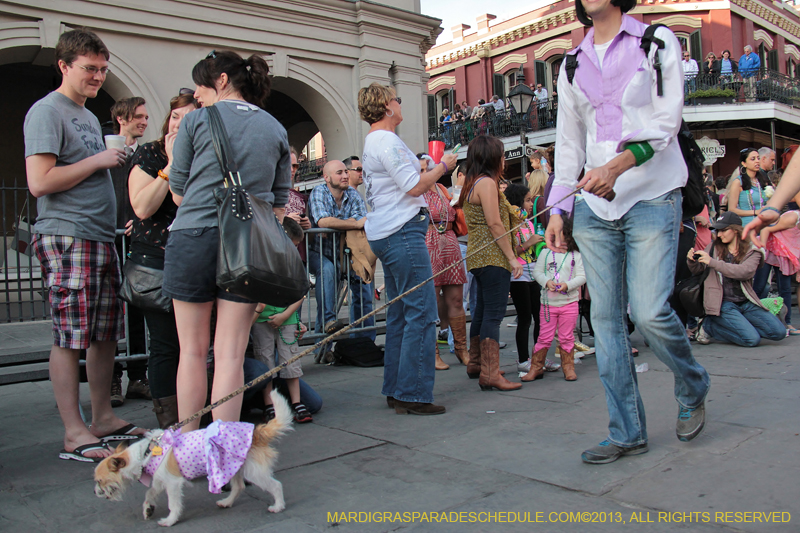 Mystic-Krewe-of-Barkus-2013-1216