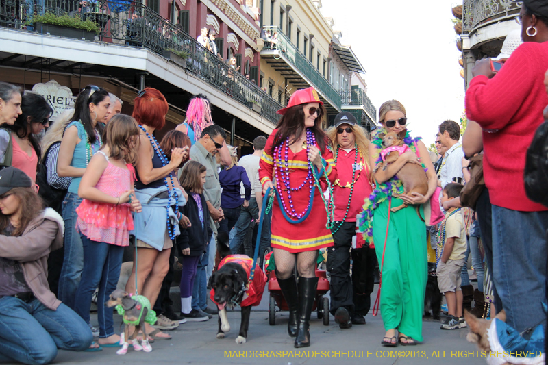 Mystic-Krewe-of-Barkus-2013-1217