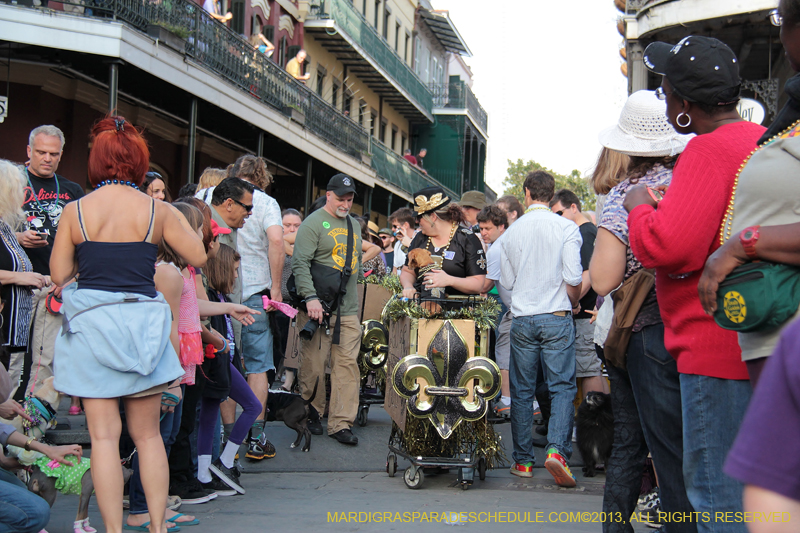 Mystic-Krewe-of-Barkus-2013-1219