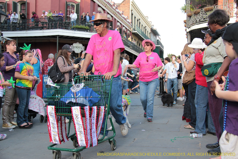 Mystic-Krewe-of-Barkus-2013-1222