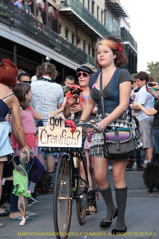 Mystic-Krewe-of-Barkus-2013-1225