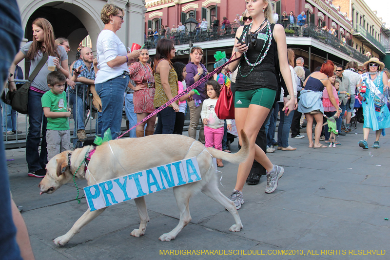 Mystic-Krewe-of-Barkus-2013-1230