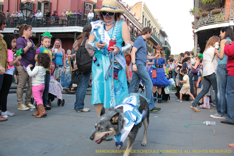 Mystic-Krewe-of-Barkus-2013-1231