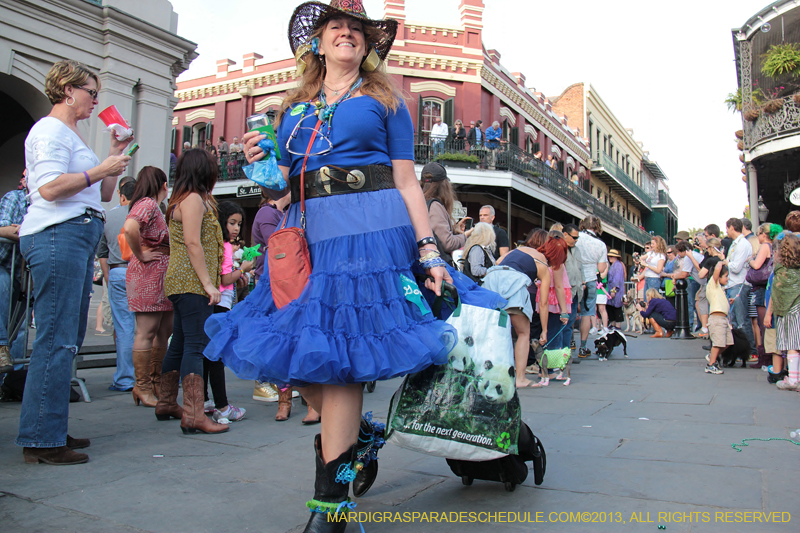 Mystic-Krewe-of-Barkus-2013-1232