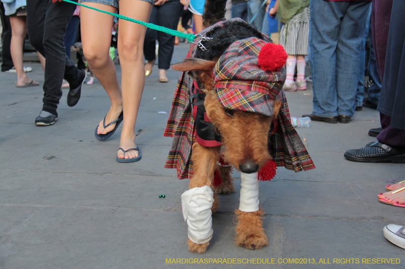 Mystic-Krewe-of-Barkus-2013-1234