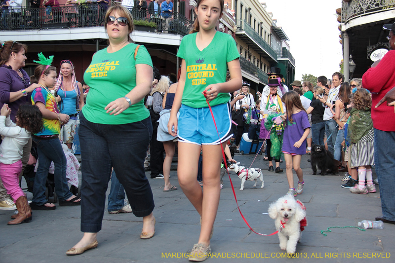 Mystic-Krewe-of-Barkus-2013-1235