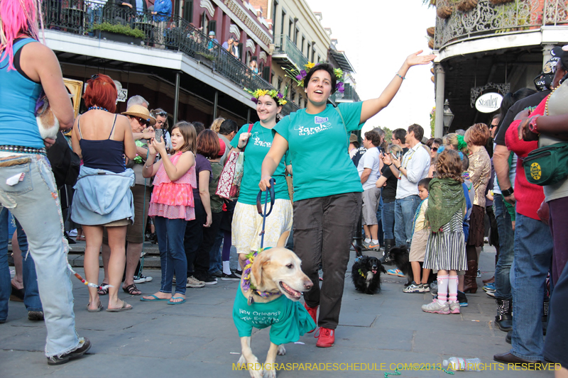 Mystic-Krewe-of-Barkus-2013-1244