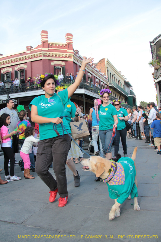 Mystic-Krewe-of-Barkus-2013-1246