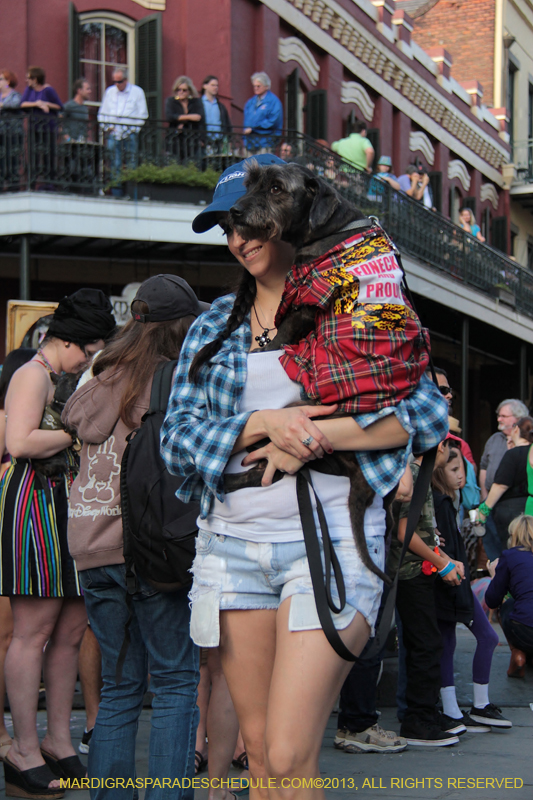 Mystic-Krewe-of-Barkus-2013-1248