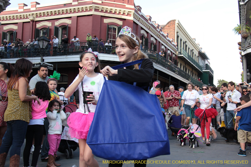 Mystic-Krewe-of-Barkus-2013-1251