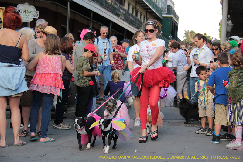 Mystic-Krewe-of-Barkus-2013-1252